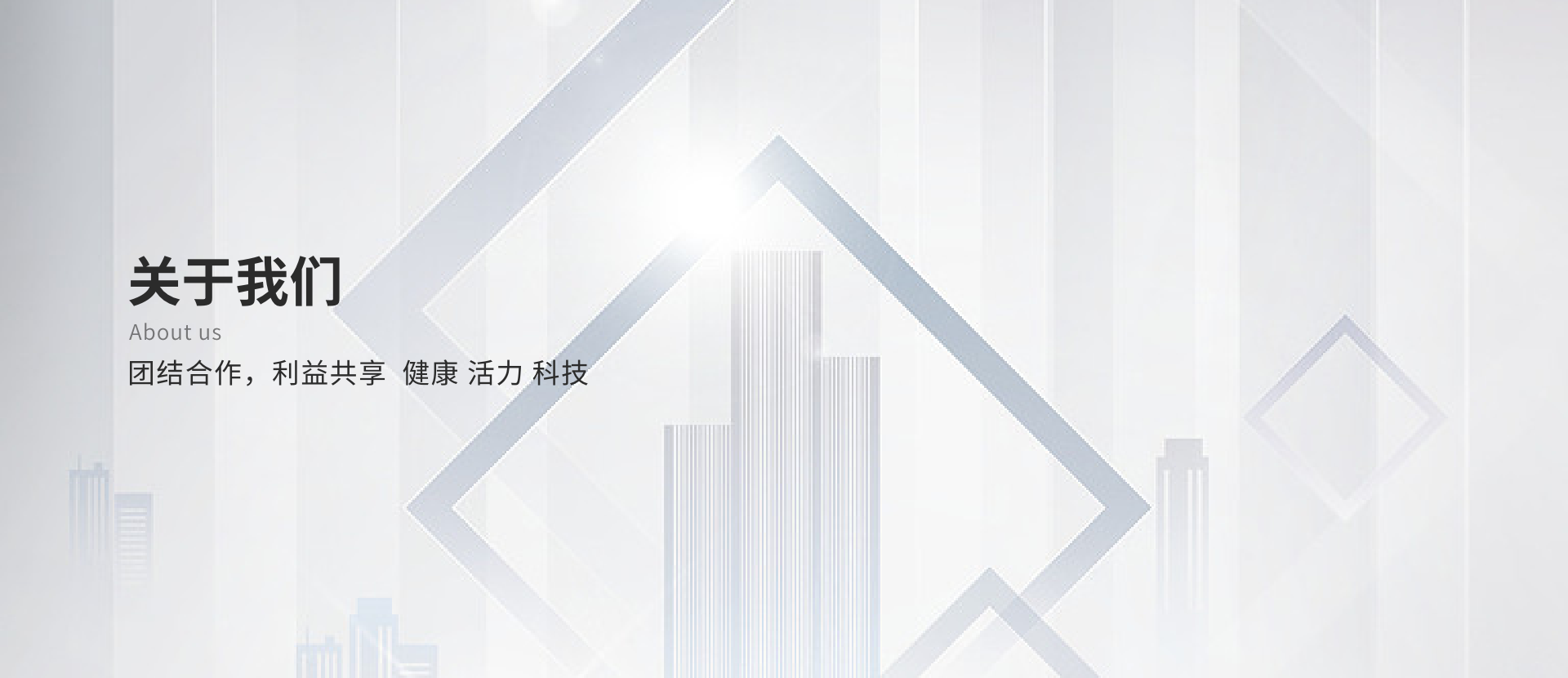公司簡介